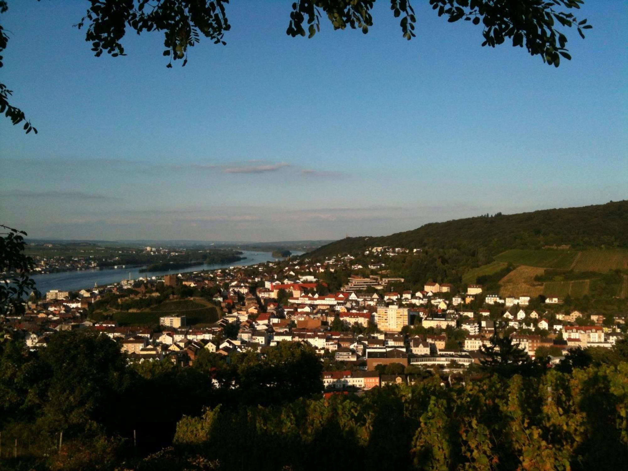 Hotel Café Konditorei Köppel Bingen am Rhein Exterior foto